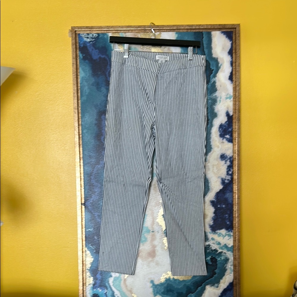 Rachel Zoe Striped Navy Blue and White Ankle Pants